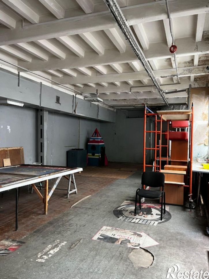 Торговое помещение улица Муравьёва-Амурского, 19,  д. 19