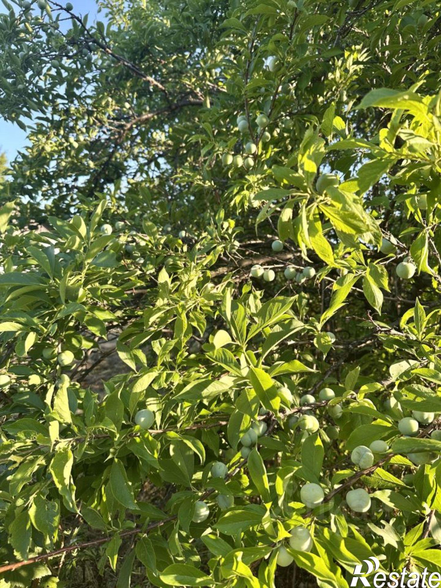 Купить дачу, дом, коттедж за 3 500 000 рублей на ул Барнаульская, 7