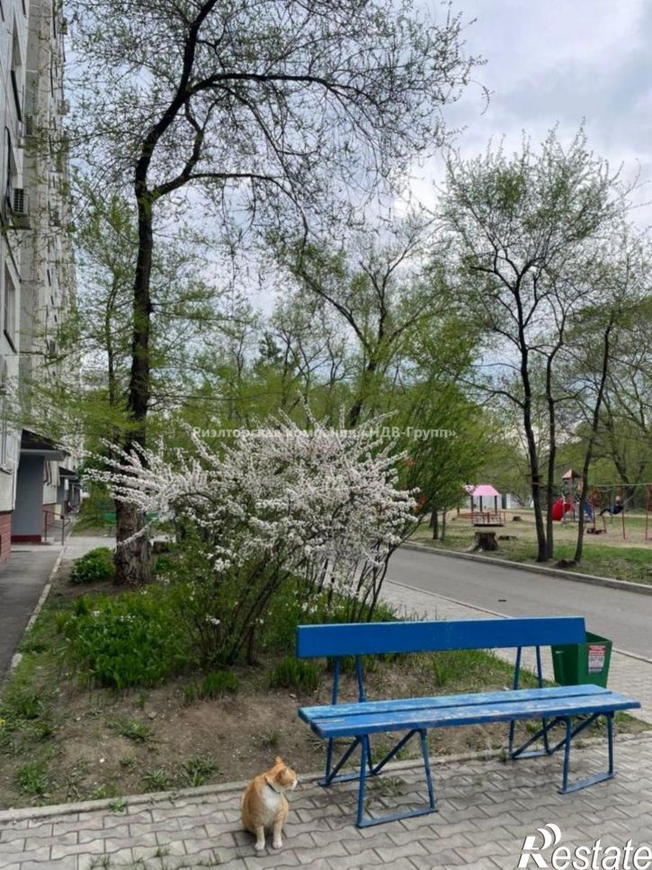 1-комн квартира Краснореченский пер, 24,  д. 24