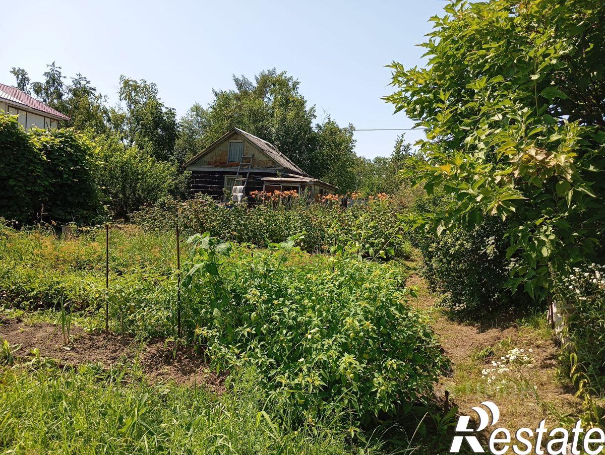Купить дачу, дом, коттедж за 1 600 000 рублей на тер сот Росбакалея